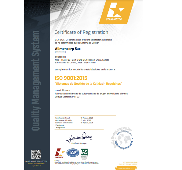 ISO 9001