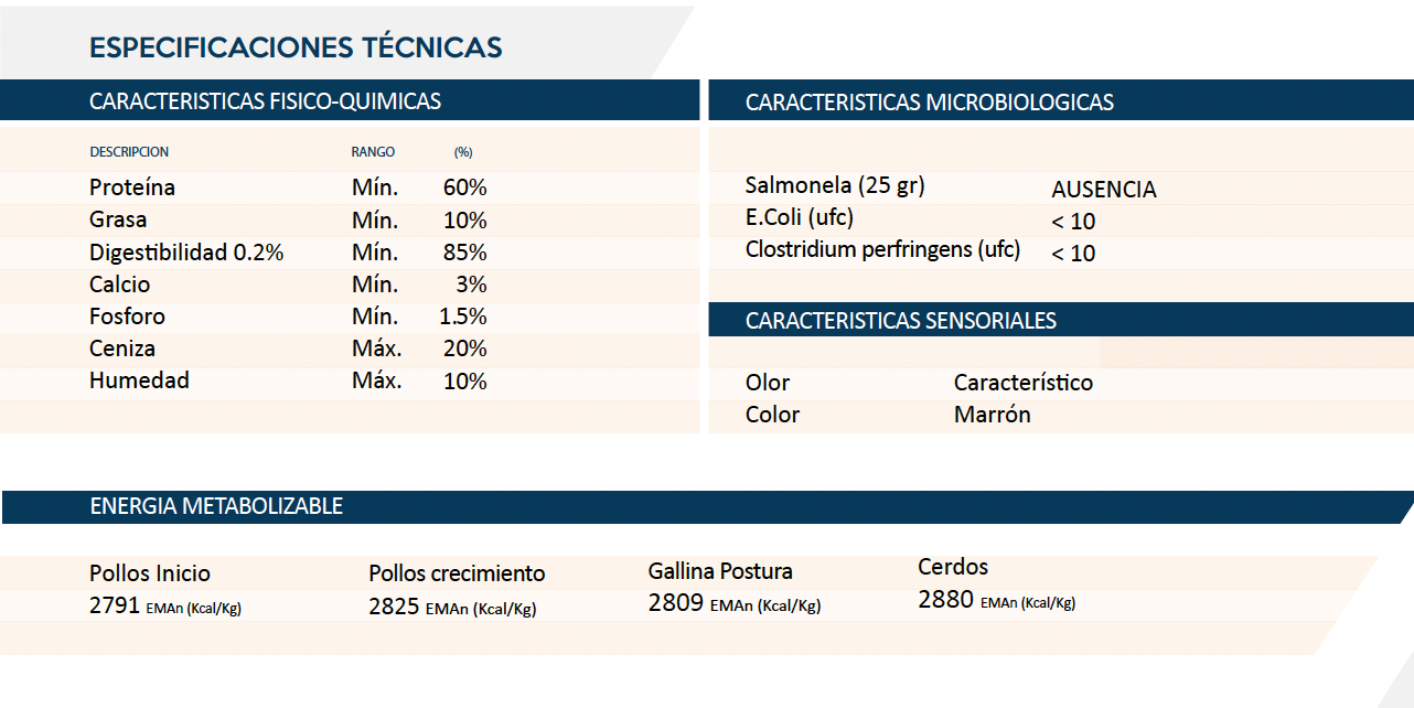 Especificaciones técnicas